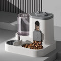 Pets Bowl Automatic Feeder with Spill Proof Design with Water Fountain Pet Food Dispenser for Small Medium Large Cats Dogs